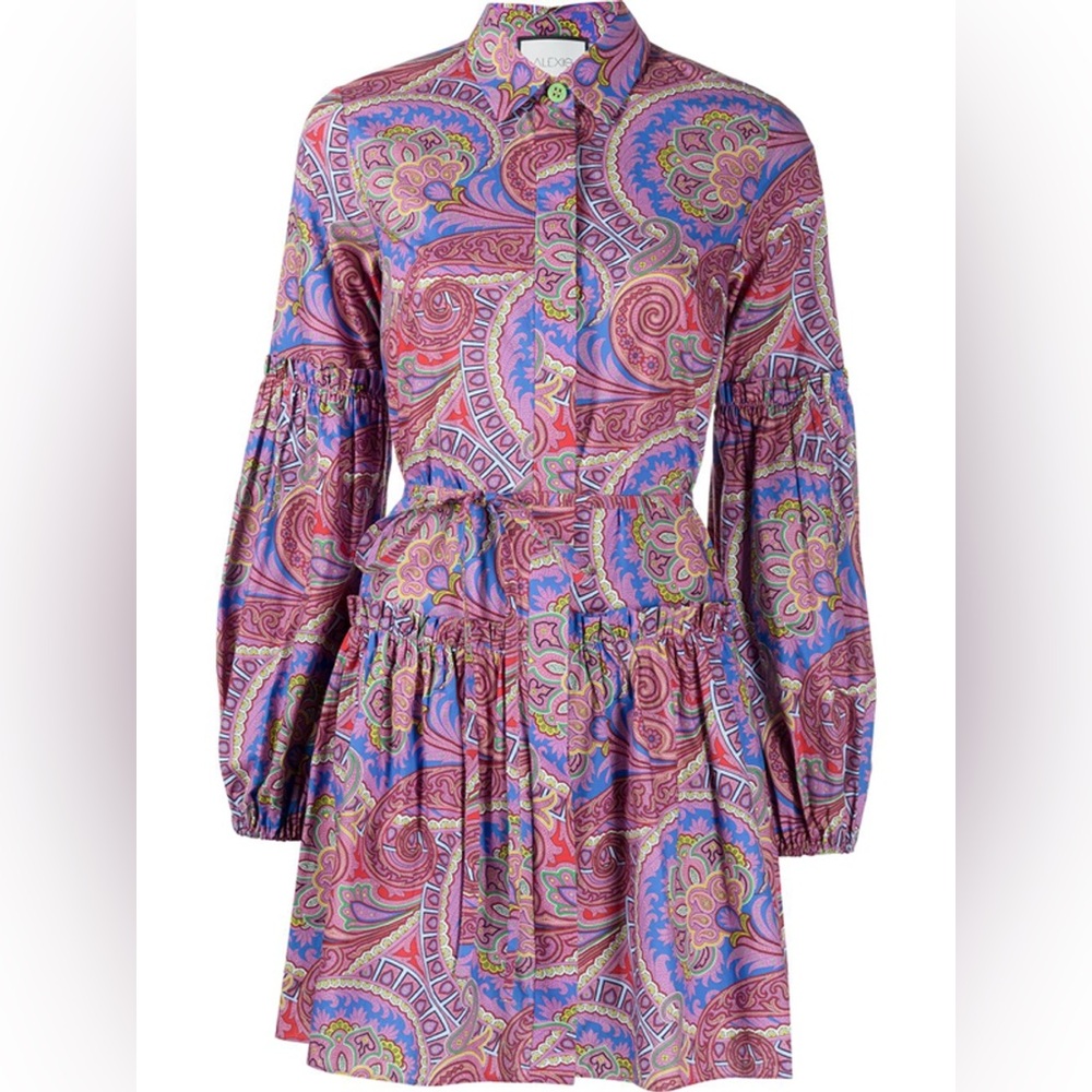 Alexis Berry Multicolor Zamata Paisley Mini Dress Large WITH WAIST TIE